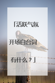 活跃气氛开场白台词有什么？