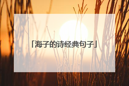 海子的诗经典句子