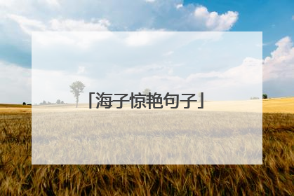 海子惊艳句子