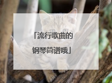 流行歌曲的 钢琴简谱哦
