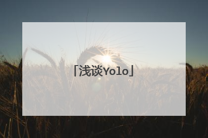 浅谈Yolo