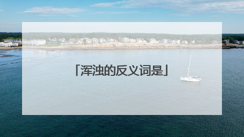 浑浊的反义词是