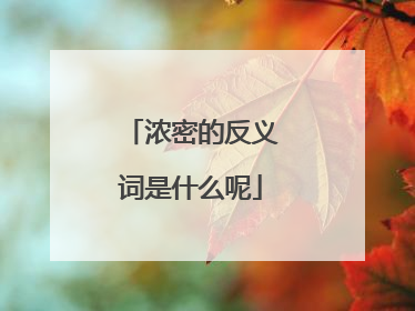 浓密的反义词是什么呢