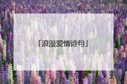 浪漫爱情诗句