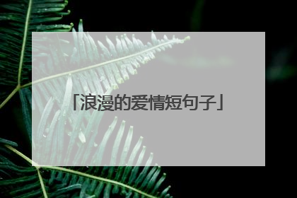 浪漫的爱情短句子