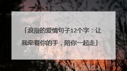浪漫的爱情句子12个字:让我牵着你的手,陪你一起走