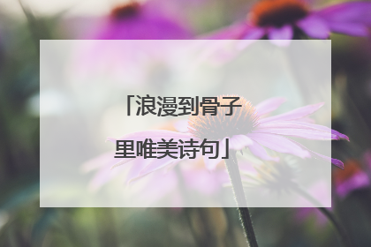 浪漫到骨子里唯美诗句