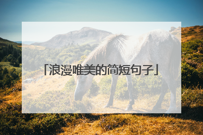 浪漫唯美的简短句子