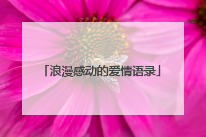 浪漫感动的爱情语录