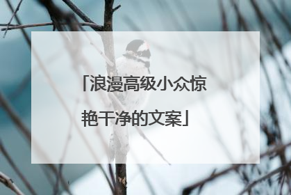 浪漫高级小众惊艳干净的文案