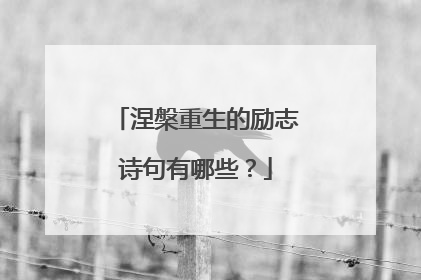 涅槃重生的励志诗句有哪些？