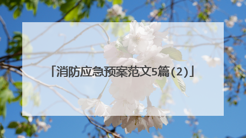 消防应急预案范文5篇(2)