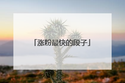 涨粉最快的段子