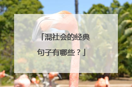 混社会的经典句子有哪些？