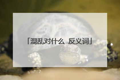 混乱对什么 反义词