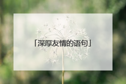 深厚友情的语句