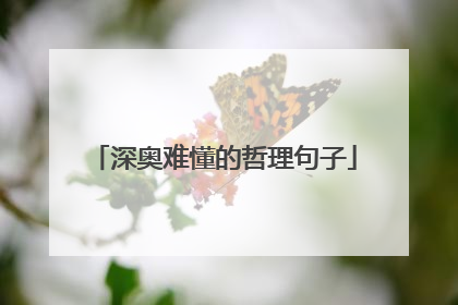 深奥难懂的哲理句子