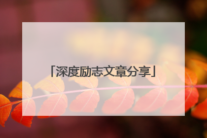 深度励志文章分享
