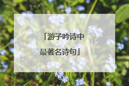 游子吟诗中最著名诗句