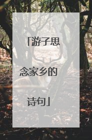 游子思念家乡的诗句