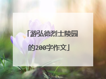 游弘德烈士陵园的200字作文