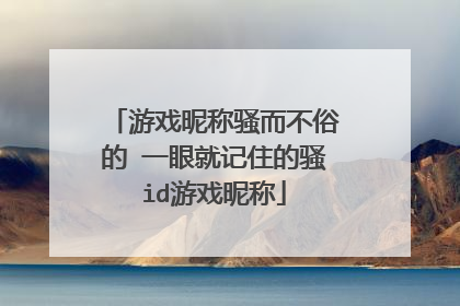 游戏昵称骚而不俗的 一眼就记住的骚id游戏昵称