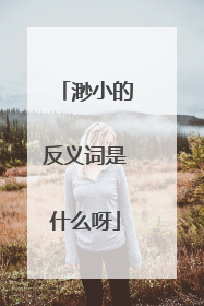 渺小的反义词是什么呀