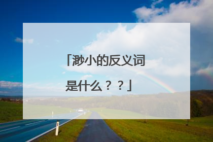渺小的反义词是什么??