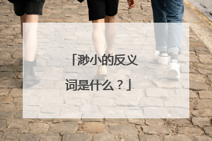 渺小的反义词是什么?