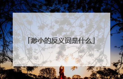 渺小的反义词是什么