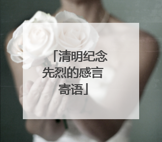 清明纪念先烈的感言寄语