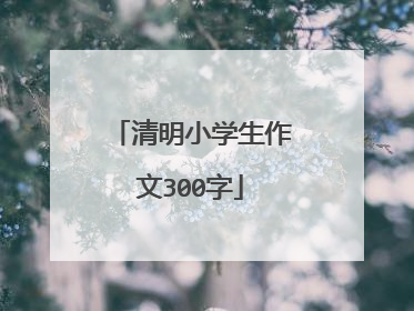 清明小学生作文300字