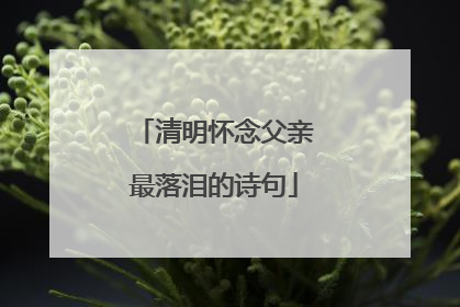 清明怀念父亲最落泪的诗句