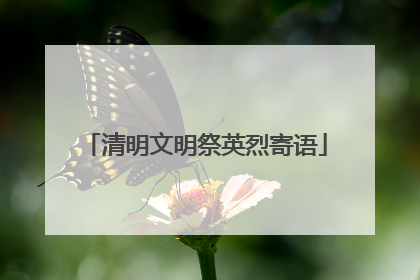 清明文明祭英烈寄语