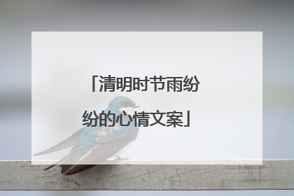 清明时节雨纷纷的心情文案