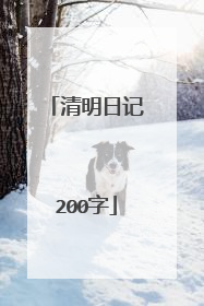 清明日记200字