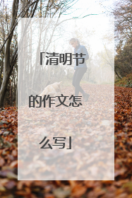 清明节的作文怎么写