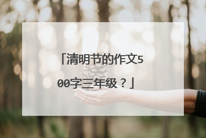 清明节的作文500字三年级？