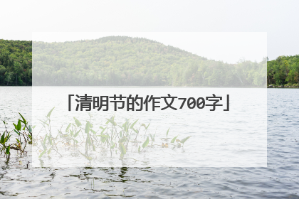清明节的作文700字