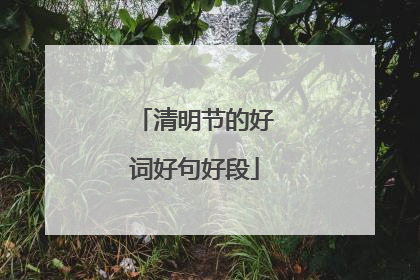 清明节的好词好句好段