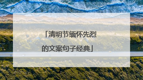 清明节缅怀先烈的文案句子经典