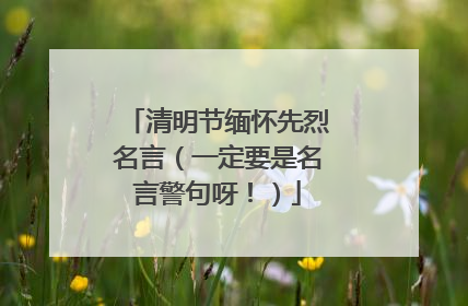 清明节缅怀先烈名言（一定要是名言警句呀！）