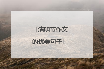 清明节作文的优美句子