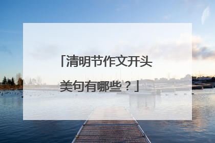 清明节作文开头美句有哪些？