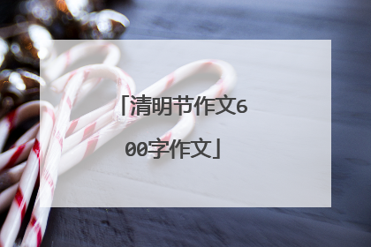 清明节作文600字作文
