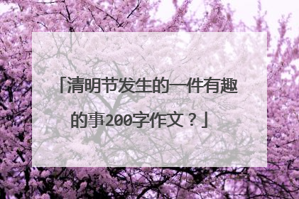 清明节发生的一件有趣的事200字作文？