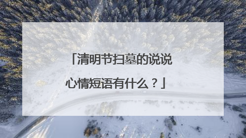 清明节扫墓的说说心情短语有什么？