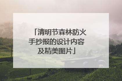 清明节森林防火手抄报的设计内容及精美图片