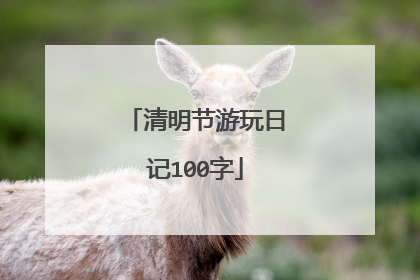 清明节游玩日记100字