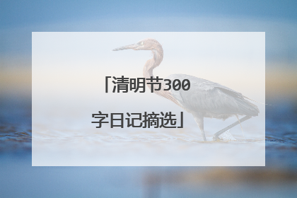 清明节300字日记摘选